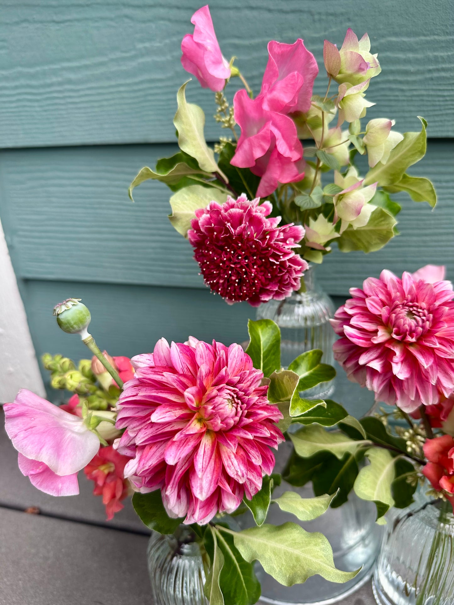 Juicy | Bud Vase Trio