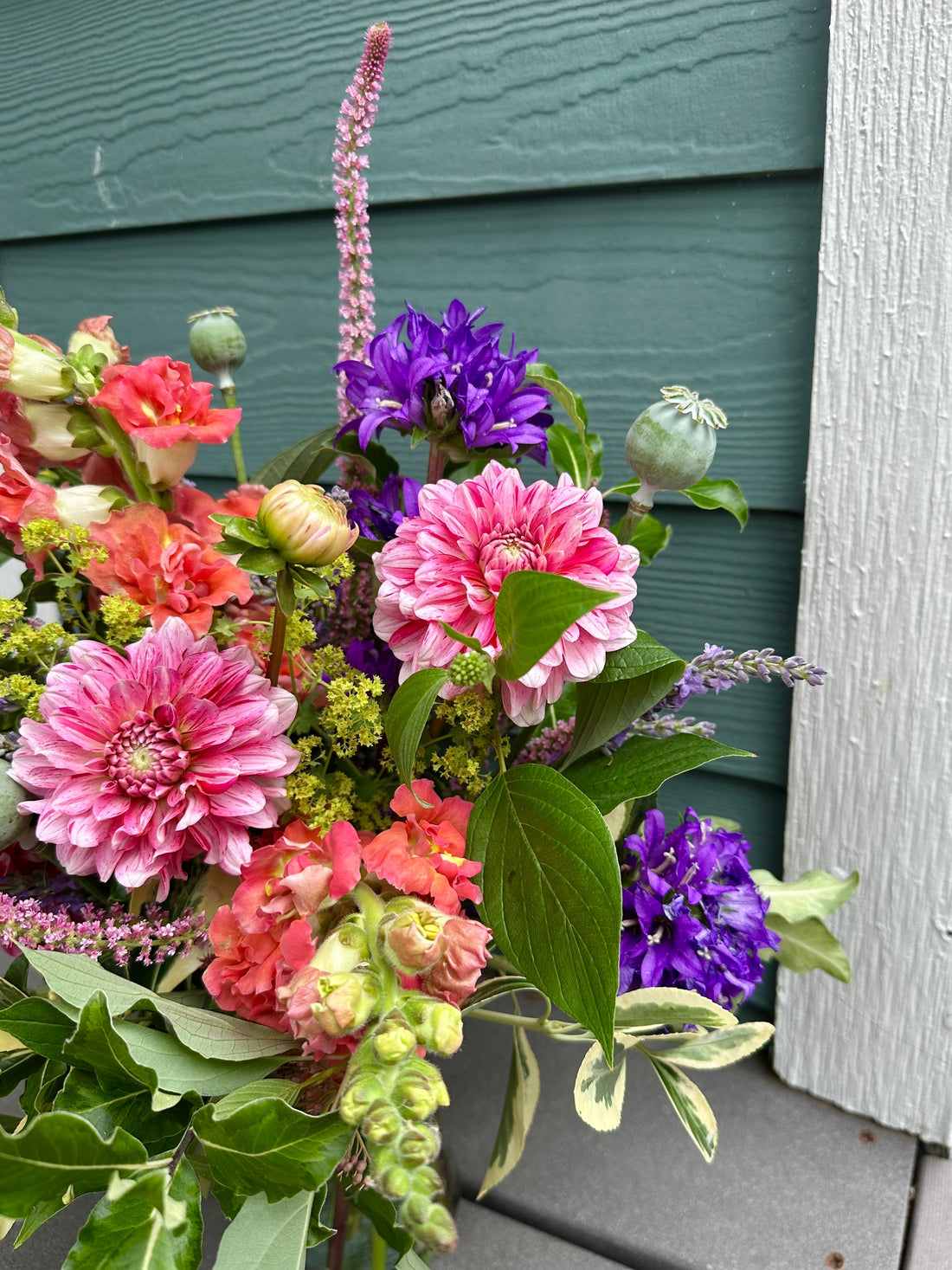 Summer flowers like dahlias, snapdragons and lavender in a vase for weekly delivery to a West Seattle business. 